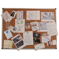 Detective Stories. Case 2 - Antarctic Fatale [DE/EN]