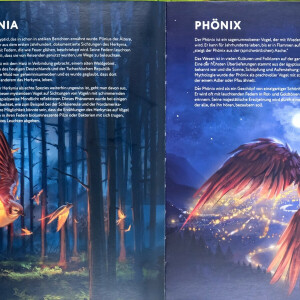 Artbook - Cryptic Nature (German)